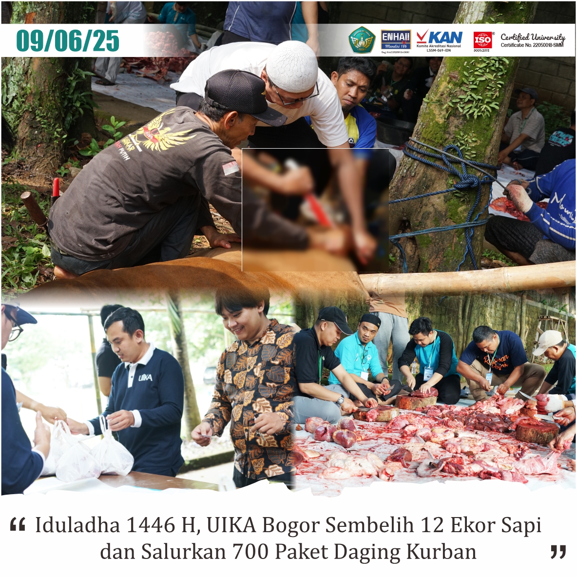 982iduladha-1446-h-uika-bogor-sembelih-12-ekor-sapi-dan-salurkan-700-paket-daging-kurban.jpg